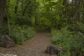 Dirt path in wooded parkland Royalty Free Stock Photo
