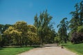 Dirt pathway passing through trees in a garden of Madrid