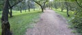 Dirt pathway walkway in forest park trees Royalty Free Stock Photo