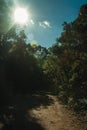 Dirt pathway on wooded landscape and sunlight Royalty Free Stock Photo