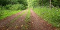 Dirt road Royalty Free Stock Photo