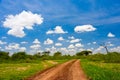 Dirt Road Royalty Free Stock Photo