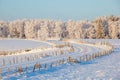 Dirt road across the field in wintry landscape Royalty Free Stock Photo