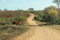 Dirt road in Africa