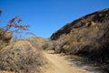 A dirt road along a picturesque rocky canyon in perspective under a blue sky