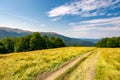 Dirt road through alpine meadow among forest Royalty Free Stock Photo