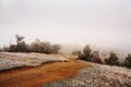 A dirt road amid hilly terrain. Grass and pine trees in hoarfrost and fog. early spring, late autumn, Royalty Free Stock Photo