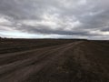 A dirt road amid uncultivated agricultural land