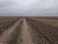 A dirt road amid uncultivated agricultural land