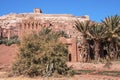 Dirt road amidst trees leading to the entrance of ancient fortress