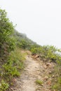 Dirt road, around diverse vegetation on the top of the Caraz hill