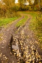 Dirt road in the autumn Royalty Free Stock Photo