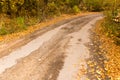 Dirt road in the autumn Royalty Free Stock Photo