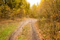 Dirt road in the autumn Royalty Free Stock Photo