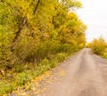 Dirt road in the autumn Royalty Free Stock Photo