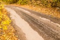 Dirt road in the autumn Royalty Free Stock Photo