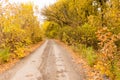 Dirt road in the autumn Royalty Free Stock Photo