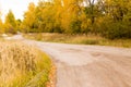 Dirt road in the autumn Royalty Free Stock Photo