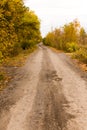 Dirt road in the autumn Royalty Free Stock Photo