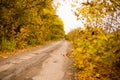 Dirt road in the autumn Royalty Free Stock Photo