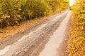 Dirt road in the autumn Royalty Free Stock Photo