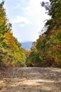 Dirt road in the autumn forest Royalty Free Stock Photo