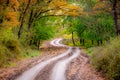 Dirt road in autumn forest in fog. Colorful landscape with beautiful enchanted trees with orange and red leaves in fall Royalty Free Stock Photo