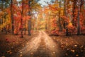 Dirt road in autumn forest in fog. Red foggy forest Royalty Free Stock Photo