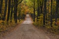 Dirt road in the autumn light New England