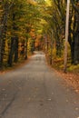 Dirt road in the autumn light New England