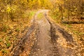 Dirt road in the autumn Royalty Free Stock Photo