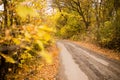 Dirt road in the autumn Royalty Free Stock Photo