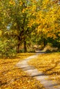 dirt road in the autumn park