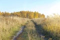 Dirt road through autumn picturesque meadow Royalty Free Stock Photo