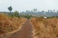 Dirt road through barren arid land