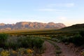 Dirt Road in Big Bend National Park Royalty Free Stock Photo