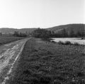 A dirt road on the border of a lake in Switzerland, in Spring, shot with analogue film tecnique