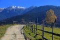 Dirt Road in Bucegi Mountains Royalty Free Stock Photo