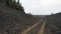 A dirt road on a burnt-out field Royalty Free Stock Photo