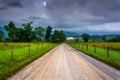 Dirt road at Cade's Cove in the morning Royalty Free Stock Photo