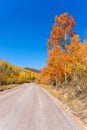Dirt road with colorful aspen trees and autumn landscape