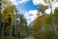 Dirt road through colorful fall forest in Colorado Royalty Free Stock Photo