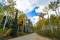 Dirt road through colorful fall forest in the Colorado Royalty Free Stock Photo