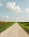 Dirt road with corn fields in a rural area of Illinois Royalty Free Stock Photo