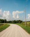 Dirt road with corn fields in a rural area of Illinois Royalty Free Stock Photo