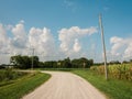 Dirt road with corn fields in a rural area of Illinois Royalty Free Stock Photo