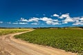 Dirt road in countryside Royalty Free Stock Photo