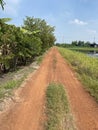 dirt road in the countryside Thailand Royalty Free Stock Photo