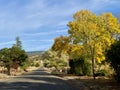 Dirt road through the countryside on a warm Autumn day with colorful leaves.