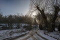 Dirt road covered with snow and sun rays penetrating through trees forest Royalty Free Stock Photo